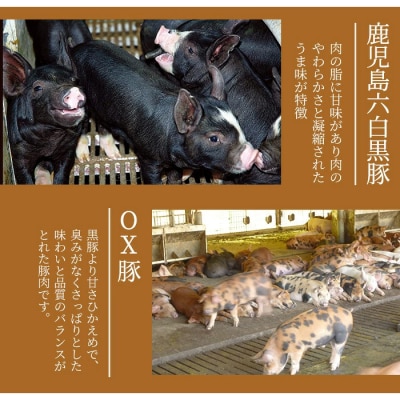 鹿児島県産やごろう黒豚味わいしゃぶしゃぶづくしセット 計1.5kg