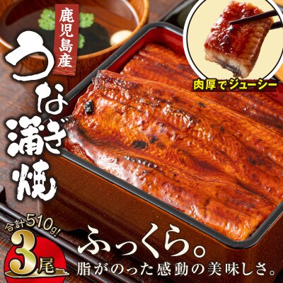 【鹿児島産】地下水で育てた うなぎ 蒲焼 170g×3尾 2099-1
