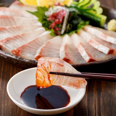 カンパチ900g 半身刺身 鹿児島県認定ブランド魚「かのやカンパチ」