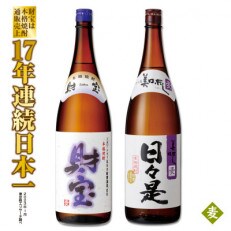 麦焼酎 一升瓶2本『財宝』『日々是』温泉水仕立ての本格焼酎　1344 | ふるさと納税のお礼品