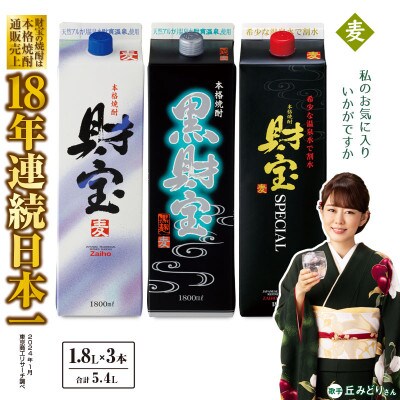 麦焼酎 紙パック3本『財宝』『黒財宝』『財宝スペシャル』温泉水仕立ての本格焼酎 2428