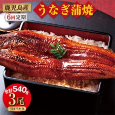 【毎月定期便】鹿児島産 うなぎ 蒲焼 180g×3尾 2098 (鹿屋市)全6回 | ふるさと納税のお礼品