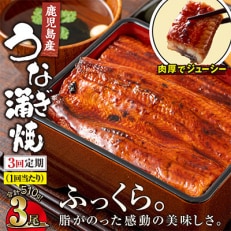 【毎月定期便】鹿児島産 うなぎ 蒲焼 170g&times;3尾 2100-1 全3回