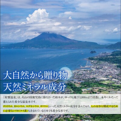 天然アルカリ温泉水 財寶温泉 ホワイトデザイン 2L×12本 合計24L 2150(鹿屋市)