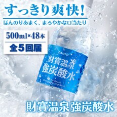 【毎月定期便】財寶温泉 強炭酸水 500ml×48本 1122 全5回 | ふるさと納税のお礼品