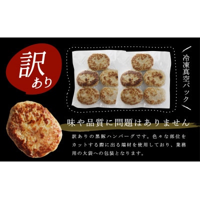 「かごしま森の黒豚」訳あり焼ハンバーグ10個