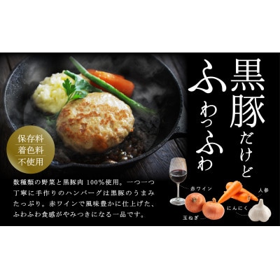 「かごしま森の黒豚」訳あり焼ハンバーグ10個