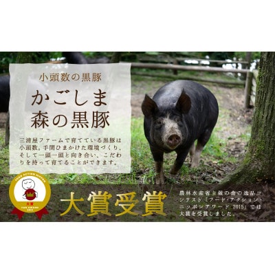 「かごしま森の黒豚」訳ありホホ串15本(600g)