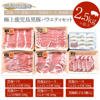 鹿児島黒豚バラエティセット(991-1)