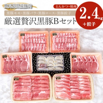 鹿児島黒豚 Bセット 2.4kg 【和田養豚】 489-1