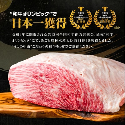 【訳あり】うしの中山 黒毛和牛 切り落とし 計約400g