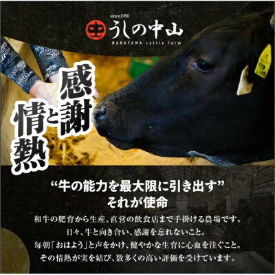 【訳あり】うしの中山 黒毛和牛 切り落とし 計約800g