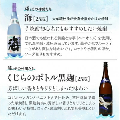 【毎月定期便】「海とその仲間たち」海とおすすめ芋焼酎が毎月届く全6回