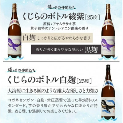 【毎月定期便】「海とその仲間たち」海とおすすめ芋焼酎が毎月届く全6回