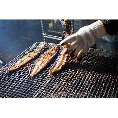 【2022年3月上旬発送】ブランドうなぎ食べ比べセット　～九州産・大トロうなぎ(江戸前蒸)～　