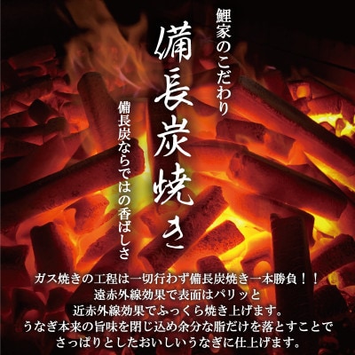 鯉家の蒲焼「大トロうなぎ蒲焼(4尾)」【国産・手焼き備長炭】1753