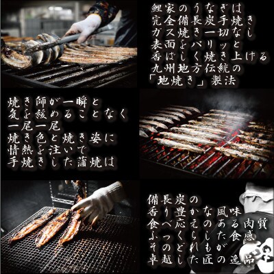 鯉家の蒲焼「真地焼きうなぎ蒲焼(4尾)」【国産・手焼き備長炭】1755