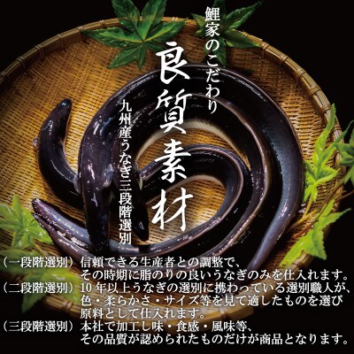 鯉家の蒲焼「真地焼きうなぎ蒲焼(4尾)」【国産・手焼き備長炭】1755