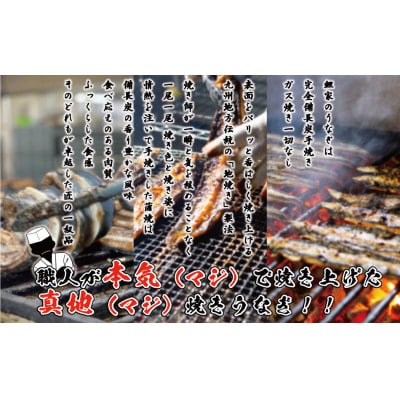 【父の日贈答用・数量限定】 鯉家の蒲焼「真地焼きうなぎ2尾+肝煮」【国産・手焼き備長炭】2118-1