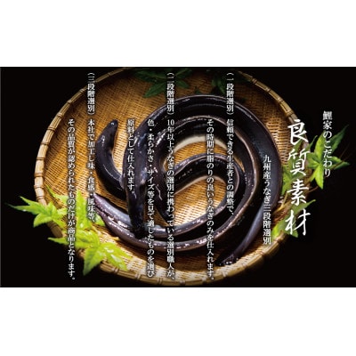 【父の日贈答用・数量限定】 鯉家の蒲焼「真地焼きうなぎ2尾+肝煮」【国産・手焼き備長炭】2118-1