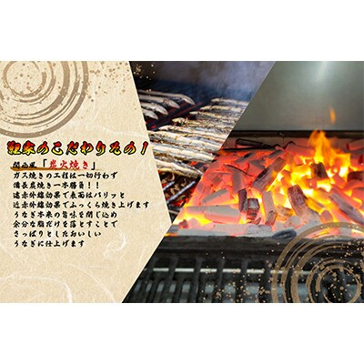 【毎月定期便】大人気!鯉家の極上蒲焼「簡単!大トロうな丼(10袋)」【国産・手焼き備長炭】全4回