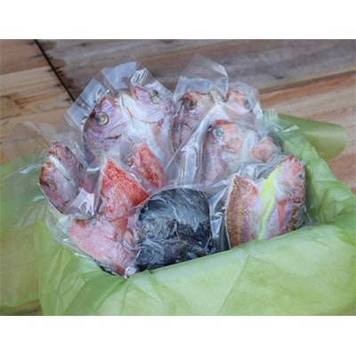 【出水田鮮魚】創業40年の魚屋が厳選した鯛の干物詰合せ