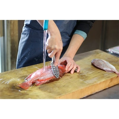 【出水田鮮魚】創業40年の魚屋が厳選した鯛の干物詰合せ