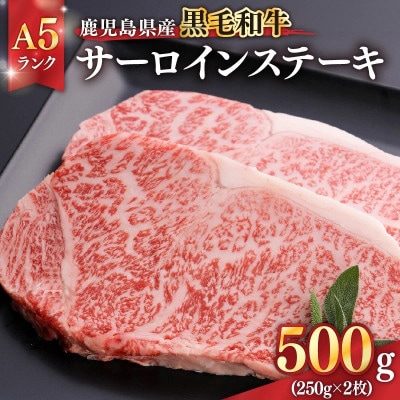 鹿児島県産 黒毛和牛 A5ランク サーロインステーキ 計500g 1397 KN041-001-01