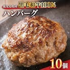 鹿児島県産 黒毛和牛 100% ハンバーグ 10個 1525 KN041-008