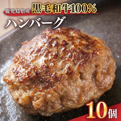 鹿児島県産 黒毛和牛 100% ハンバーグ 10個 1525 KN041-008