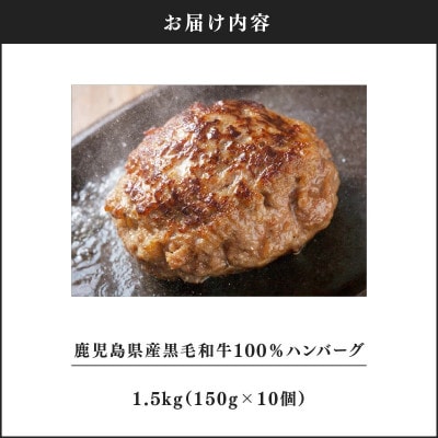 鹿児島県産 黒毛和牛 100% ハンバーグ 10個 1525 KN041-008