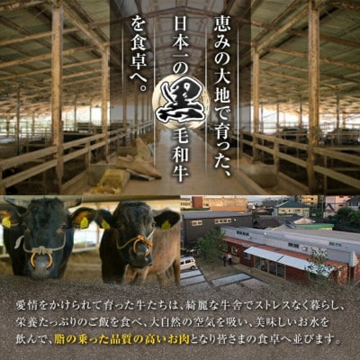 鹿児島県産 黒毛和牛 A4・A5 切り落とし(800g)【ことぶき精肉店】1205-1