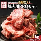 訳あり 鹿児島県産 黒毛和牛 焼肉用 BBQセット 計1,000g 2617KN041-003-01