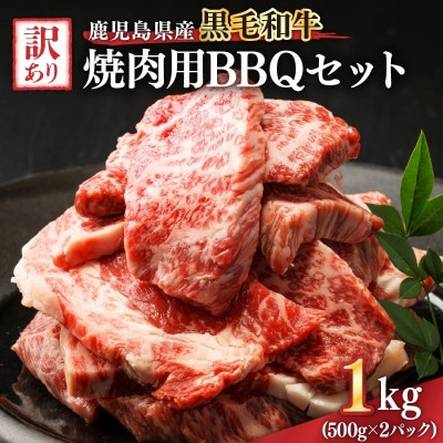 訳あり 鹿児島県産 黒毛和牛 焼肉用 BBQセット 計1,000g 2617KN041-003-01