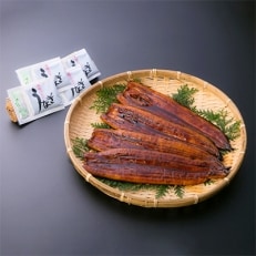 鹿児島県大隅産うなぎ蒲焼4尾(計600g)725-1 | ふるさと納税のお礼品