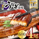鹿児島県大隅産うなぎ蒲焼4尾(計600g)725-3
