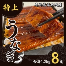 鹿児島県大隅産うなぎ蒲焼8尾(計1.2kg) 726-1 | ふるさと納税のお礼品