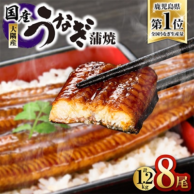 鹿児島県大隅産うなぎ蒲焼8尾(計1.2kg) 726-3