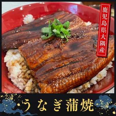 鹿児島県大隅産うなぎ蒲焼8尾(計1.2kg) 726-3