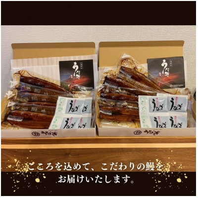 鹿児島県大隅産うなぎ蒲焼8尾(計1.2kg) 726-3
