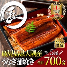 【さとふる限定】鹿児島県大隅産うなぎ蒲焼5尾(計700g)