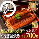 【さとふる限定】鹿児島県大隅産うなぎ蒲焼5尾(計700g)