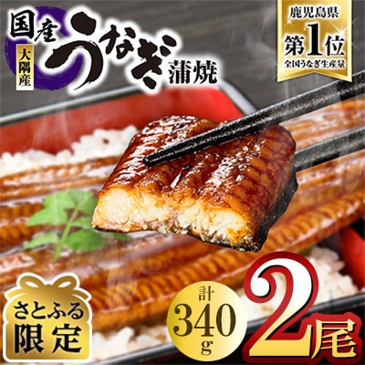 【期間限定】【さとふる限定】鹿児島県大隅産うなぎ蒲焼2尾(計340g)