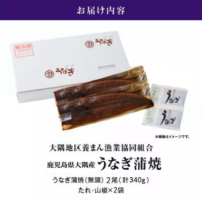 【期間限定】【さとふる限定】鹿児島県大隅産うなぎ蒲焼2尾(計340g)