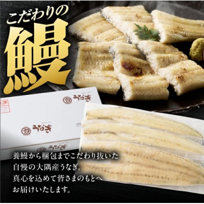 【訳あり】【数量限定】鹿児島県大隅産うなぎ白焼3尾　計360g
