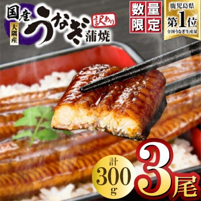 【訳あり】【数量限定】鹿児島県 大隅産 うなぎ 蒲焼き 3尾 セット 計300g