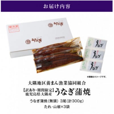 【訳あり】【数量限定】鹿児島県 大隅産 うなぎ 蒲焼き 3尾 セット 計300g