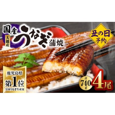 【先行予約】【数量限定】鹿児島県大隅産うなぎ蒲焼4尾(740g)【土用の丑の日】