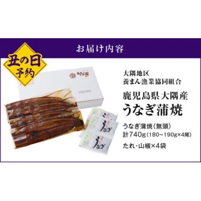 【先行予約】【数量限定】鹿児島県大隅産うなぎ蒲焼4尾(740g)【土用の丑の日】