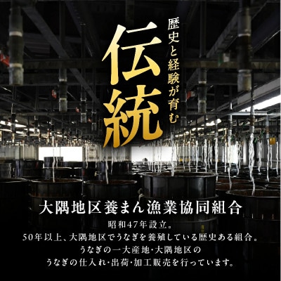 【期間限定】【訳あり】鹿児島県大隅産うなぎ蒲焼有頭 3尾セット(計310g)KN007-002-07